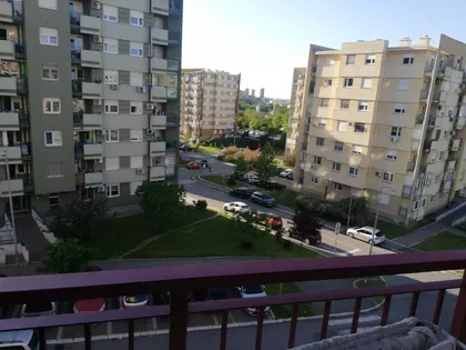 Timočke Divizije | 4zida.rs