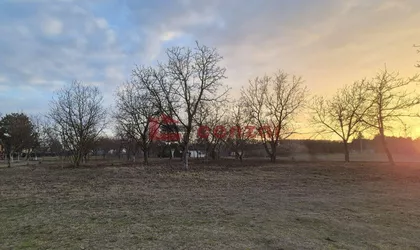 Palić | 4zida.rs