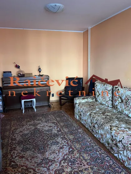 Dr Ivana Ribara | 4zida.rs