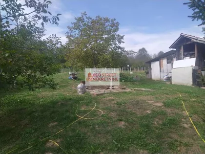 Senaja | 4zida.rs