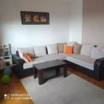 Bulevar Oslobođenja, Gradske lokacije, Novi Sad | 4zida.rs | 4zida.rs