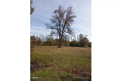 Kolubarski leskovac | 4zida.rs