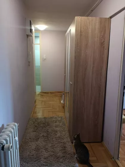 Lajoša Joa | 4zida.rs