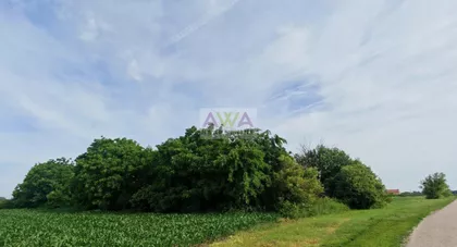 Bezdan | 4zida.rs