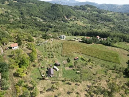Peselja | 4zida.rs