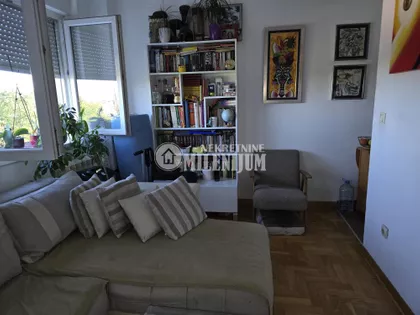 Nedeljka Gvozdenovića | 4zida.rs