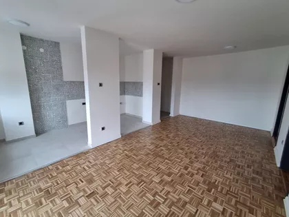 Cara Dušana | 4zida.rs