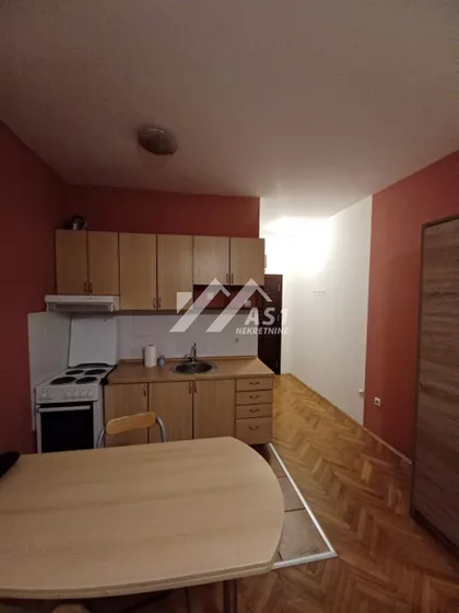 Petra Drapšina | 4zida.rs