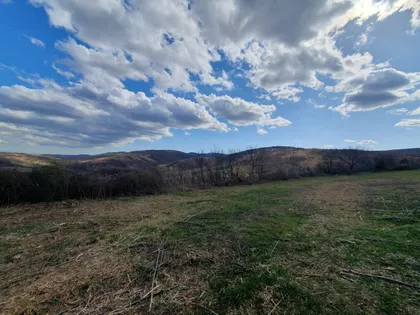 Čerević | 4zida.rs