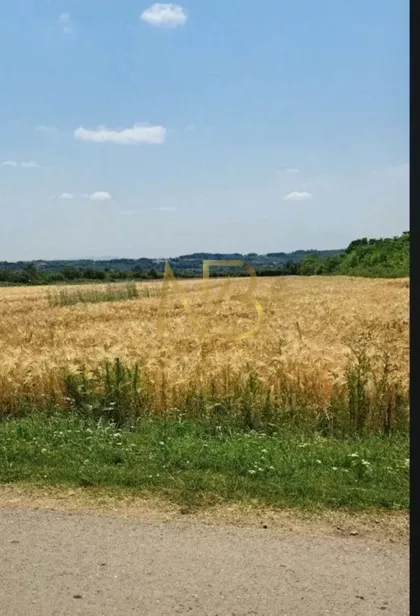 Kusanja | 4zida.rs