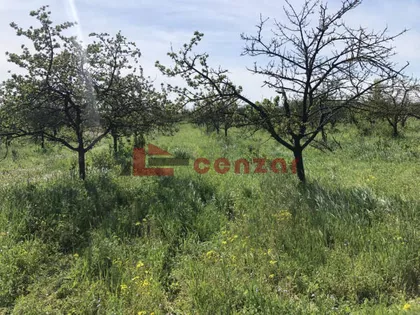 Radanovac | 4zida.rs