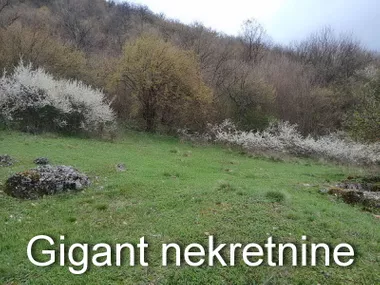 Gradske lokacije