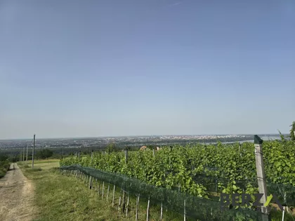 VOJVODE MIŠIĆA | 4zida.rs