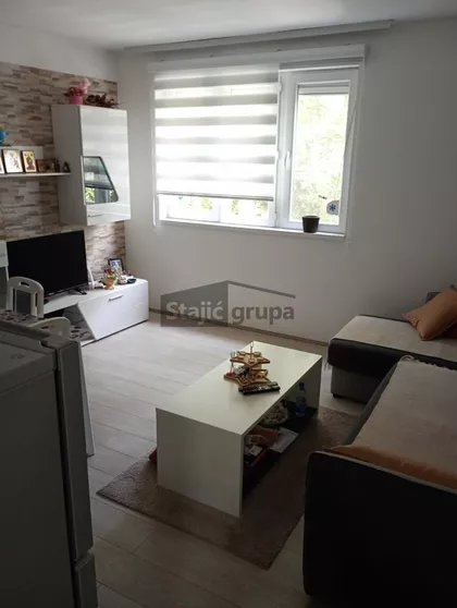 Salvadora Aljendea | 4zida.rs