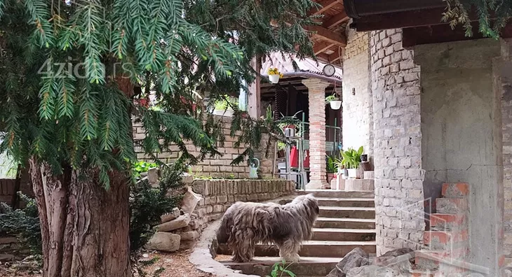 Kuća | 4zida