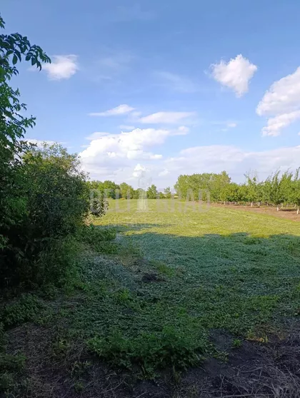 Špajanska | 4zida.rs