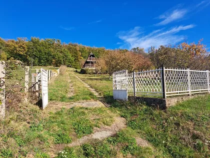 Kosmajski Trg | 4zida.rs