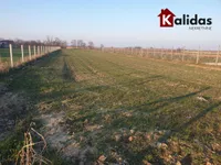 Futog, Okolne lokacije, Novi Sad | 4zida.rs