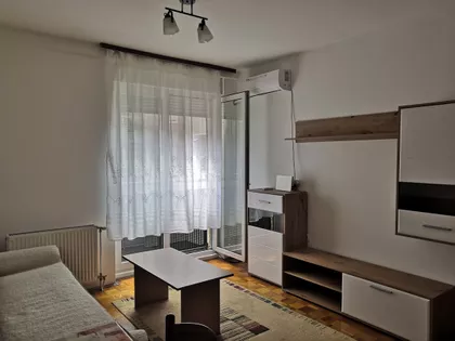 Dr Svetislava Kasapinovića | 4zida.rs