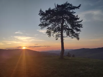 Vodovodska 73 | 4zida.rs