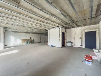 Cara Dušana | 4zida.rs