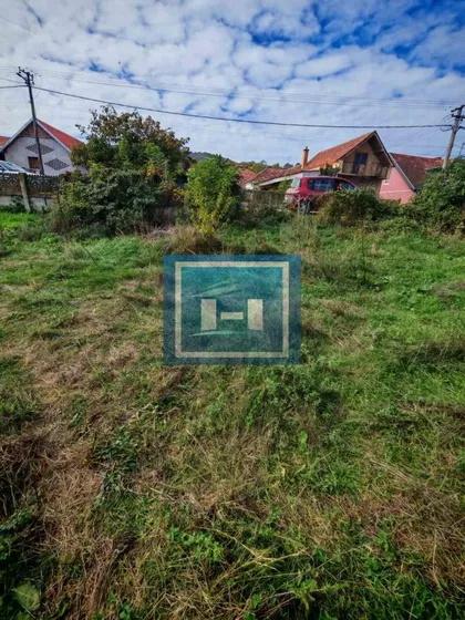 Trešnjevica | 4zida.rs