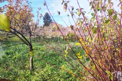 Palih boraca | 4zida.rs