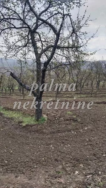 Gornja Sabanta | 4zida.rs