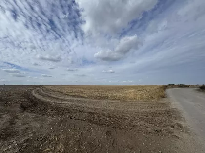 Kupinovo | 4zida.rs