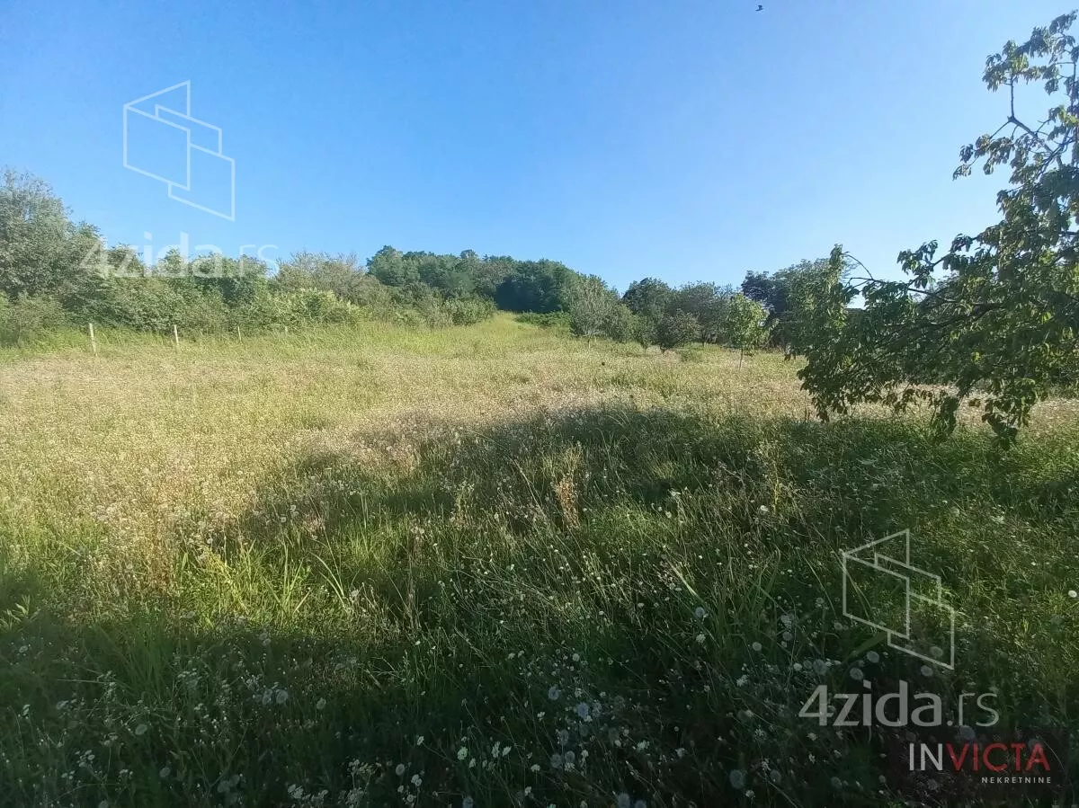 Plac | 4zida