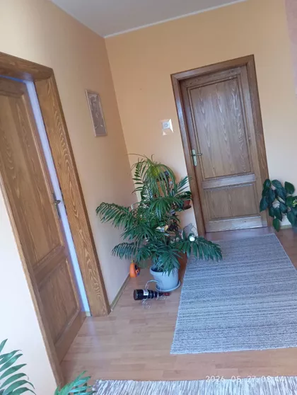 Prežihova Voranca | 4zida.rs