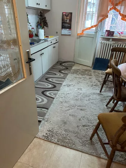 Hajduk Veljkova | 4zida.rs