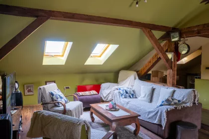 Žarka Zrenjanina | 4zida.rs