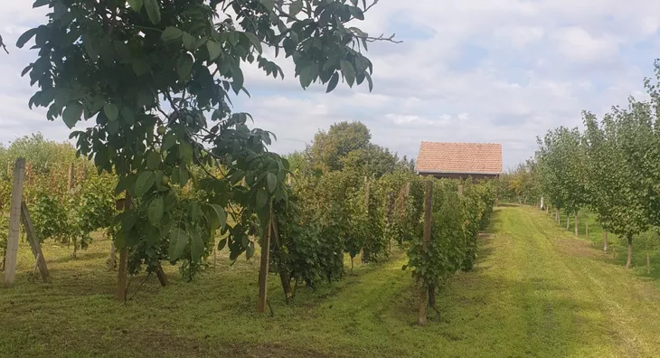 Poljoprivredno zemljište | 4zida