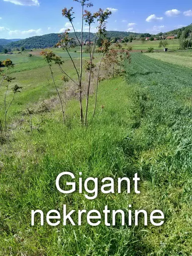 Gradske lokacije
