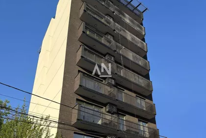 Živka Davidovića | 4zida.rs