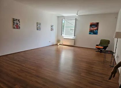 Stevana Jakovljevića | 4zida.rs