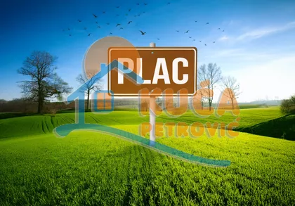 Branka Miljkovića | 4zida.rs