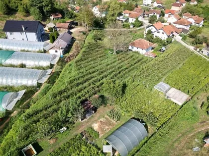 Vinicka | 4zida.rs