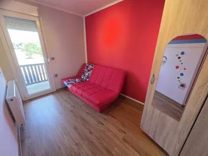 Salajka | 4zida.rs