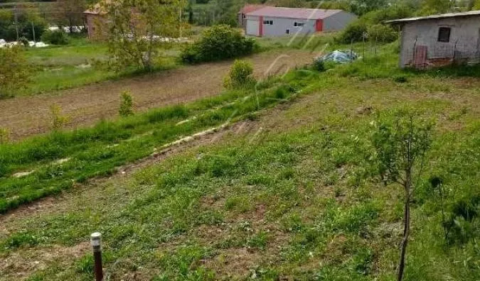 Plac | 4zida