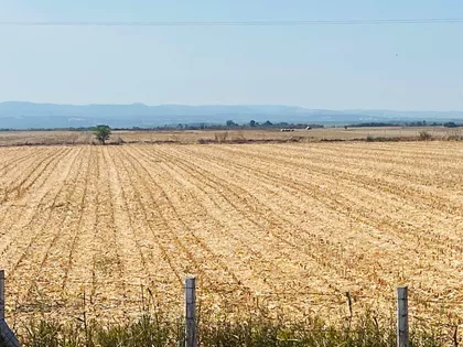 Budisava | 4zida.rs