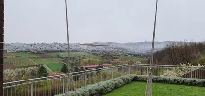 Sremska Kamenica | 4zida.rs