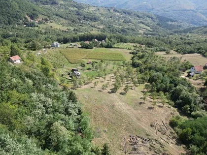 Peselja | 4zida.rs