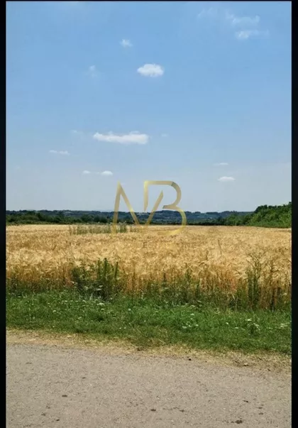 Kusanja | 4zida.rs