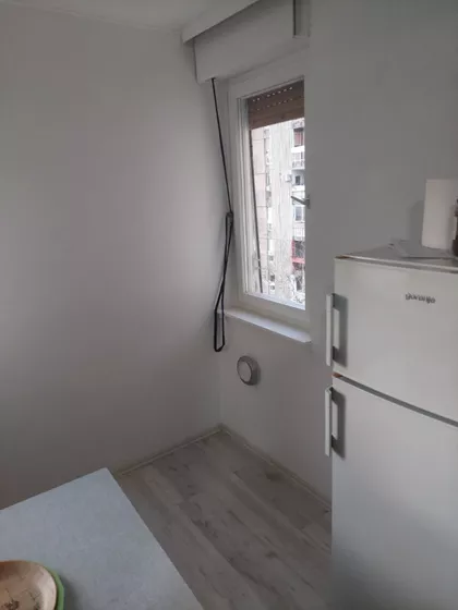 Vase Pelagića | 4zida.rs