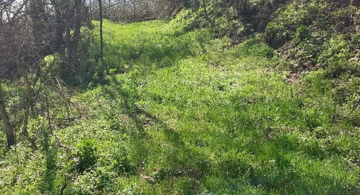 Poljoprivredno zemljište | 4zida