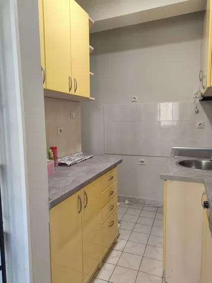 Dušana Vasiljeva | 4zida.rs