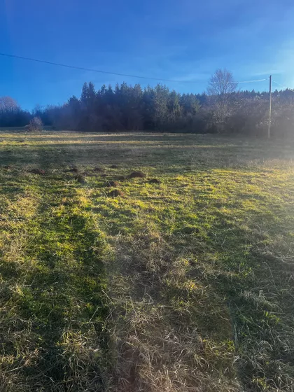 Devet Jugovića | 4zida.rs