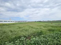 Stari Banovci, Okolne lokacije, Stara Pazova | 4zida.rs